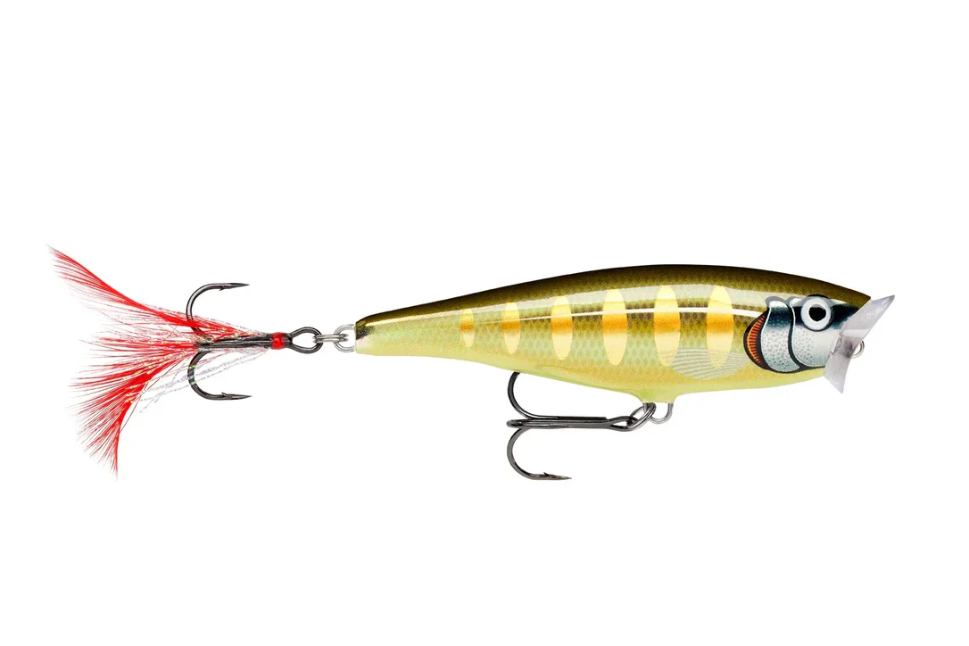 charliesfishing407413