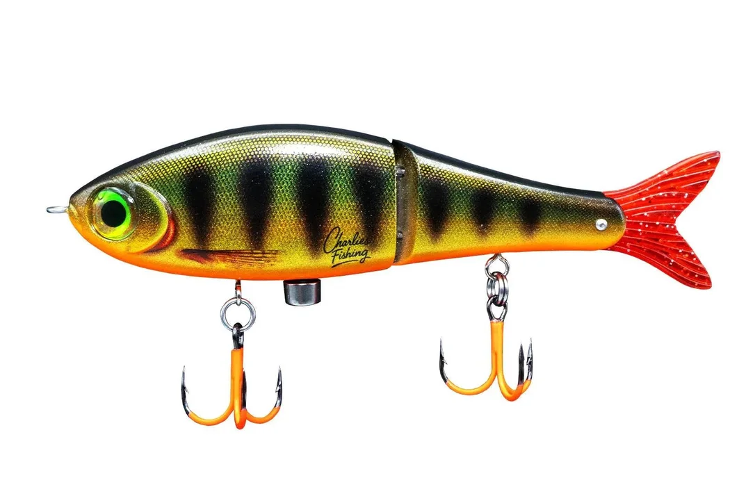 charliesfishing408949