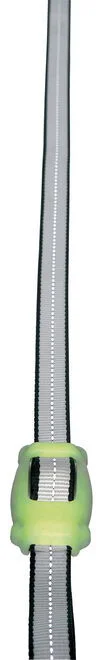 compass24382285