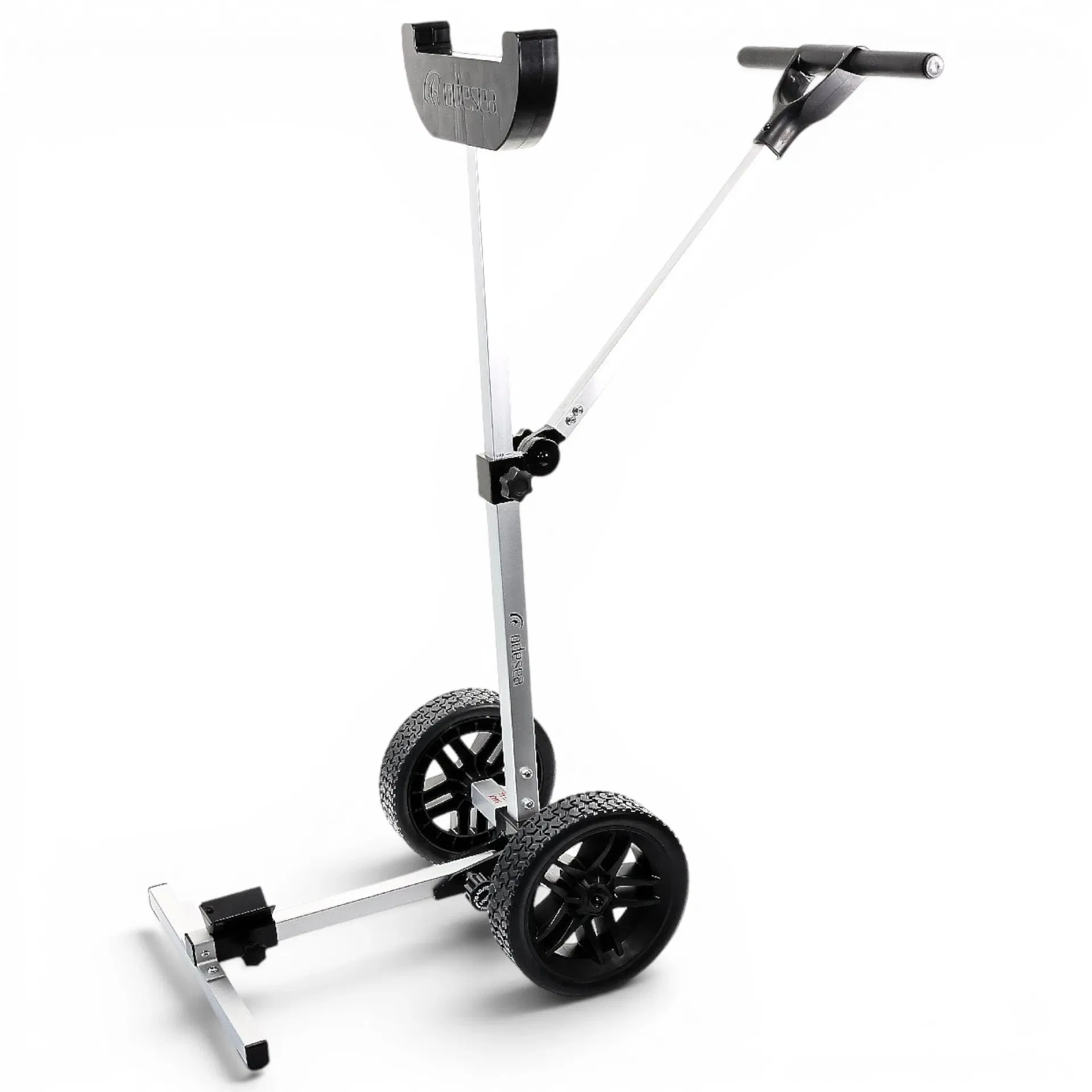 compass24413212