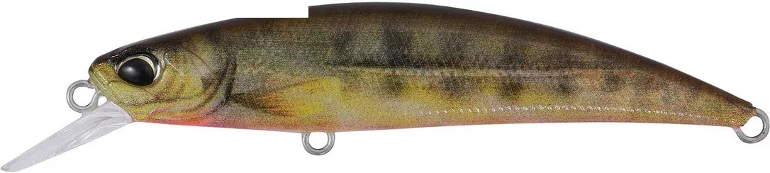 franz-geht-fischen358877