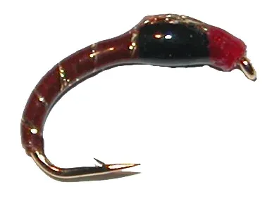 franz-geht-fischen375770