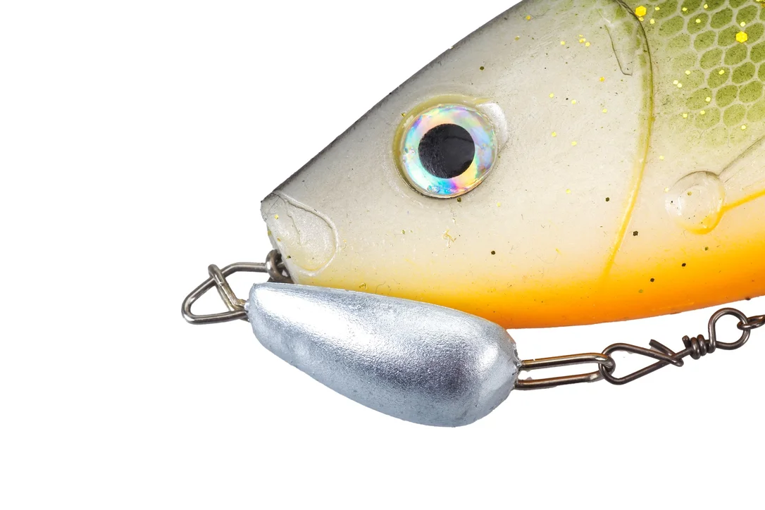 funfish385368