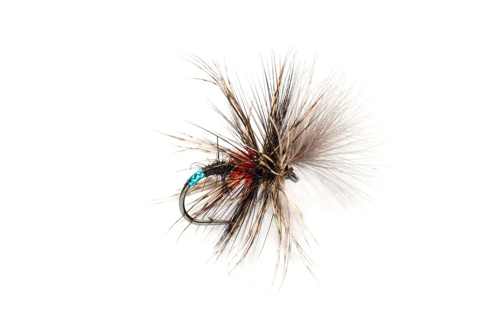 funfish402139