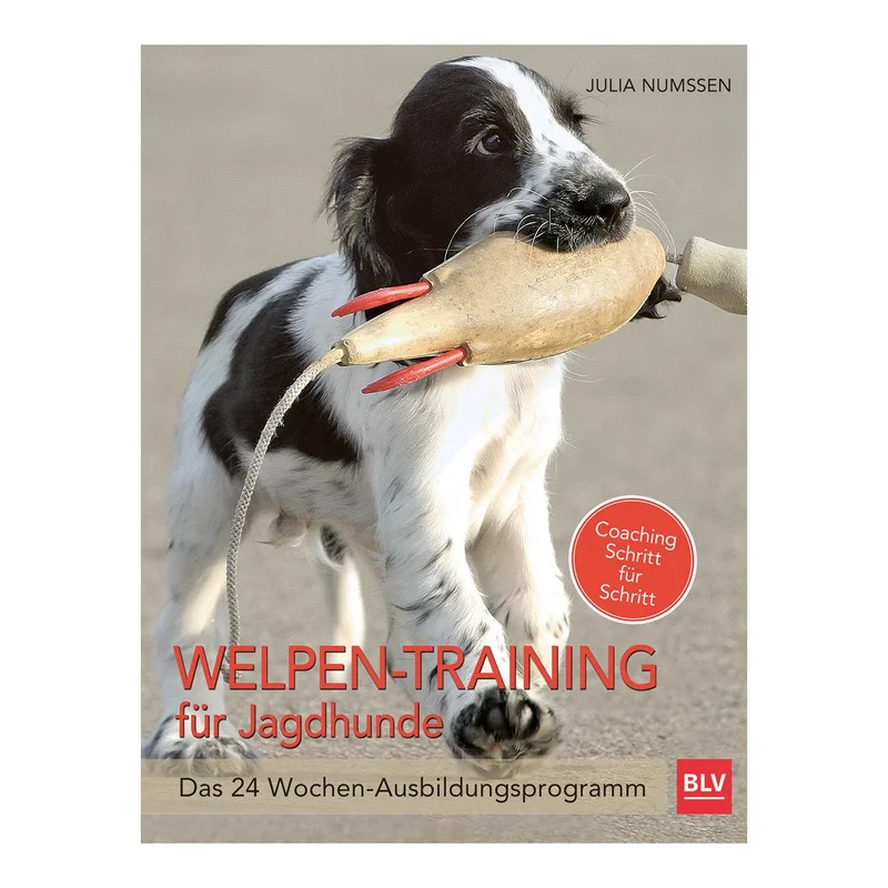 hauptner-jagd375604