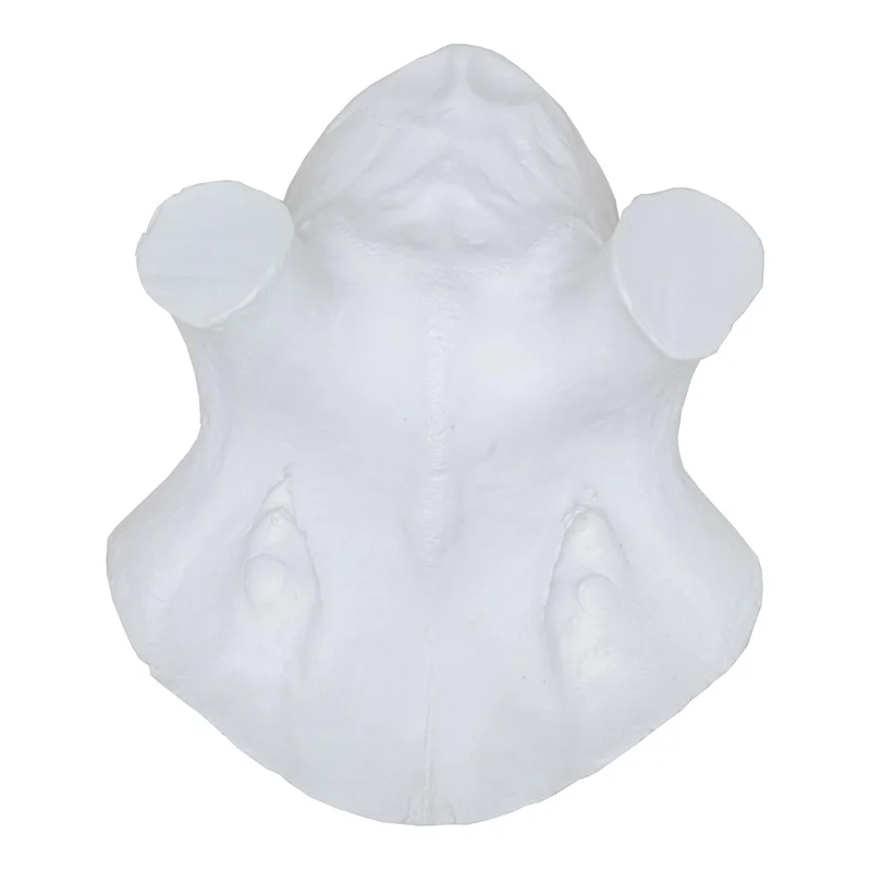 hauptner-jagd378201