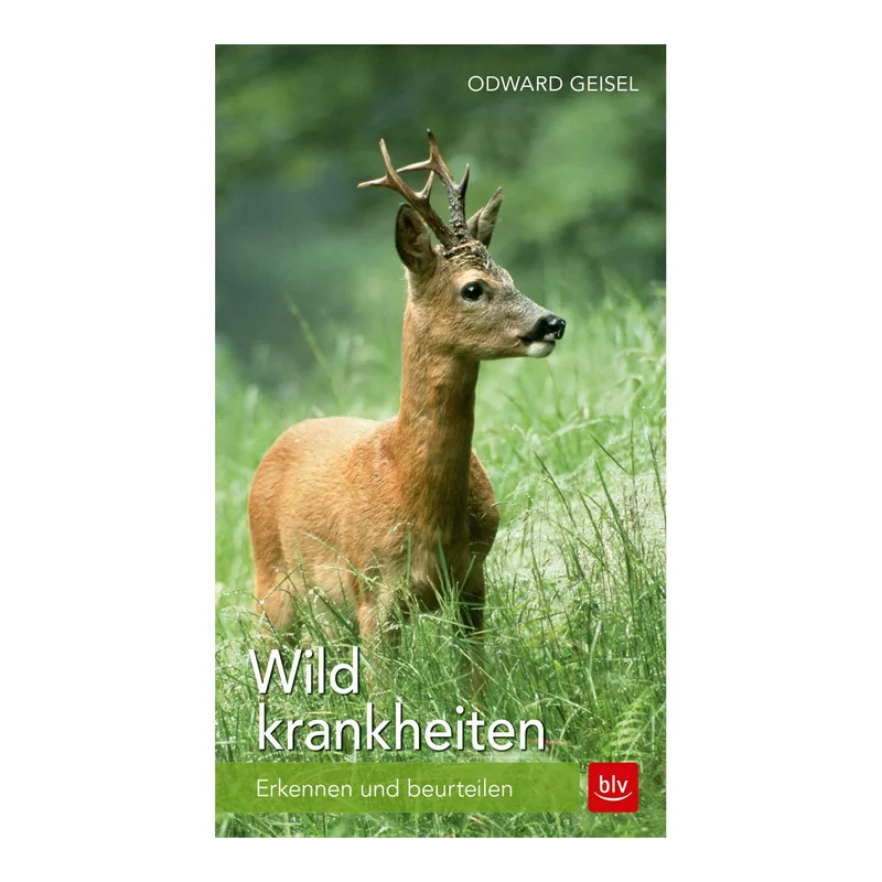 hauptner-jagd378954