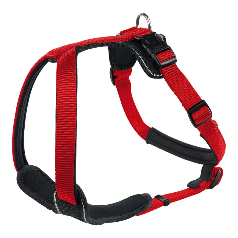 hauptner-jagd383447