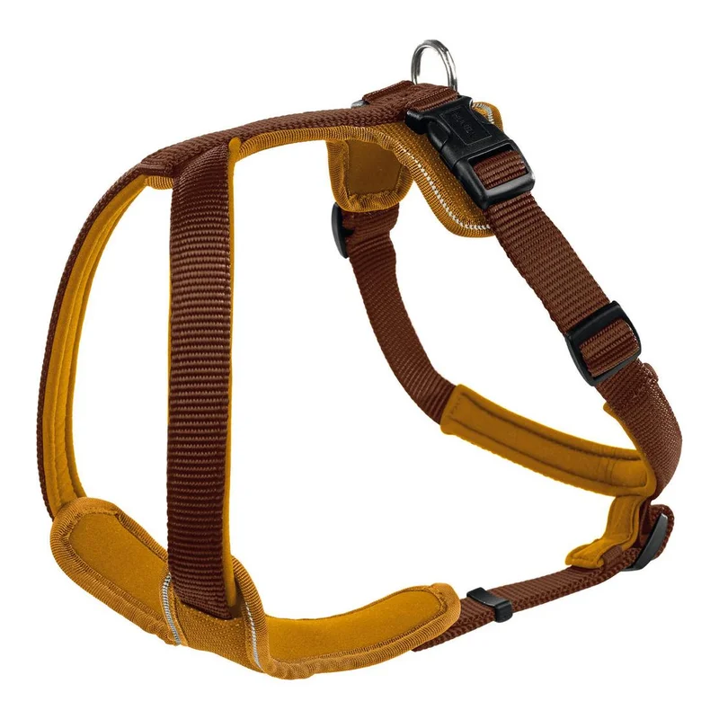 hauptner-jagd383579