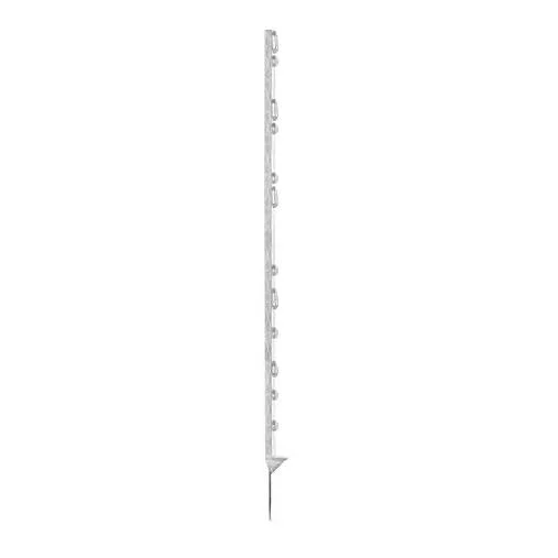 hauptner-jagd387452