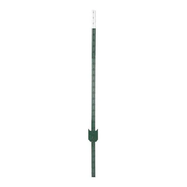 hauptner-jagd387789