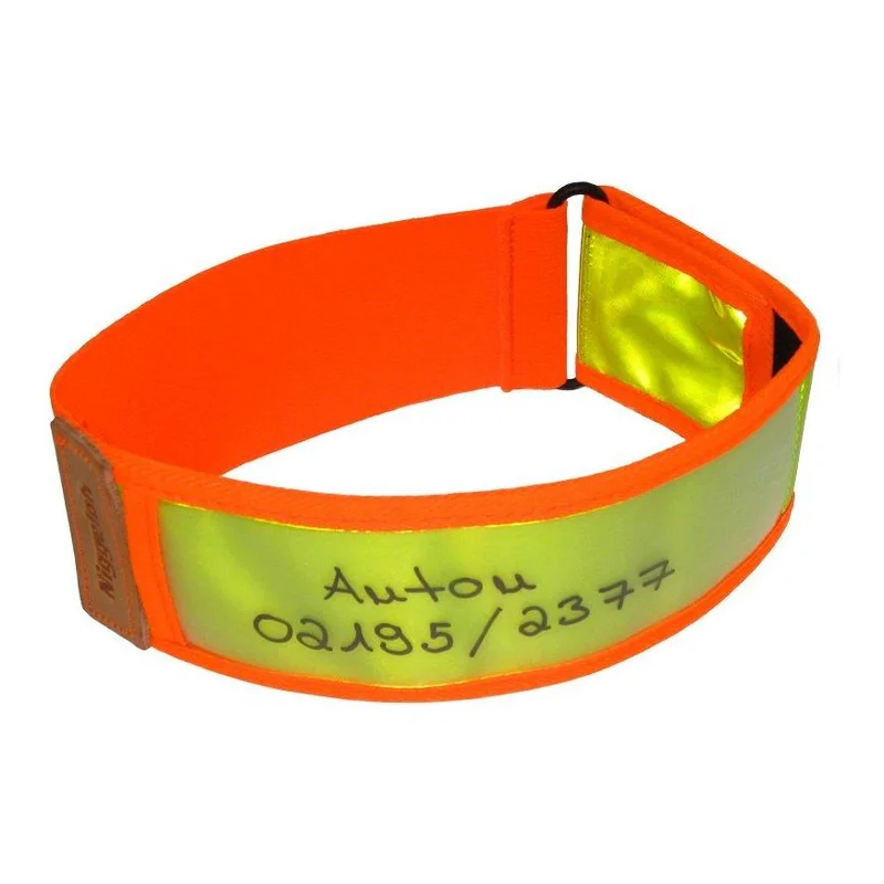 hauptner-jagd393671