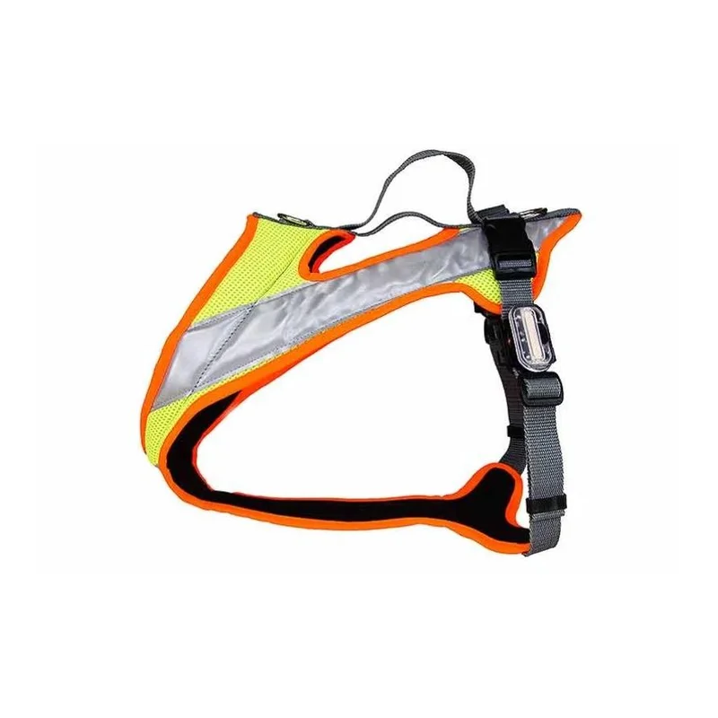 hauptner-jagd395742