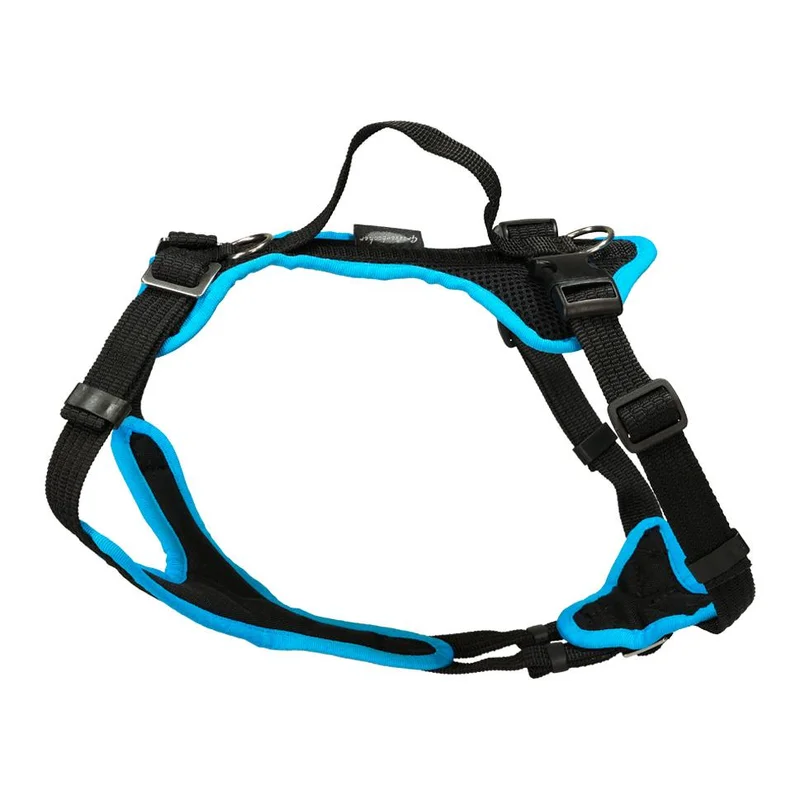 hauptner-jagd396314