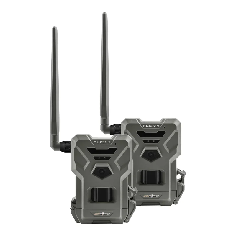 hauptner-jagd424184