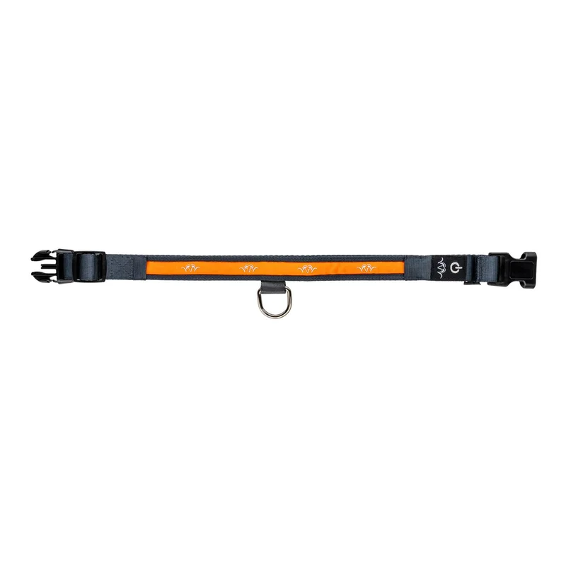 hauptner-jagd430601