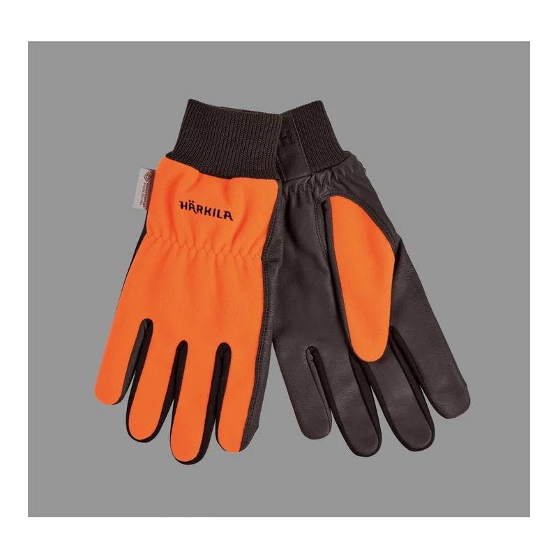 hauptner-jagd446181