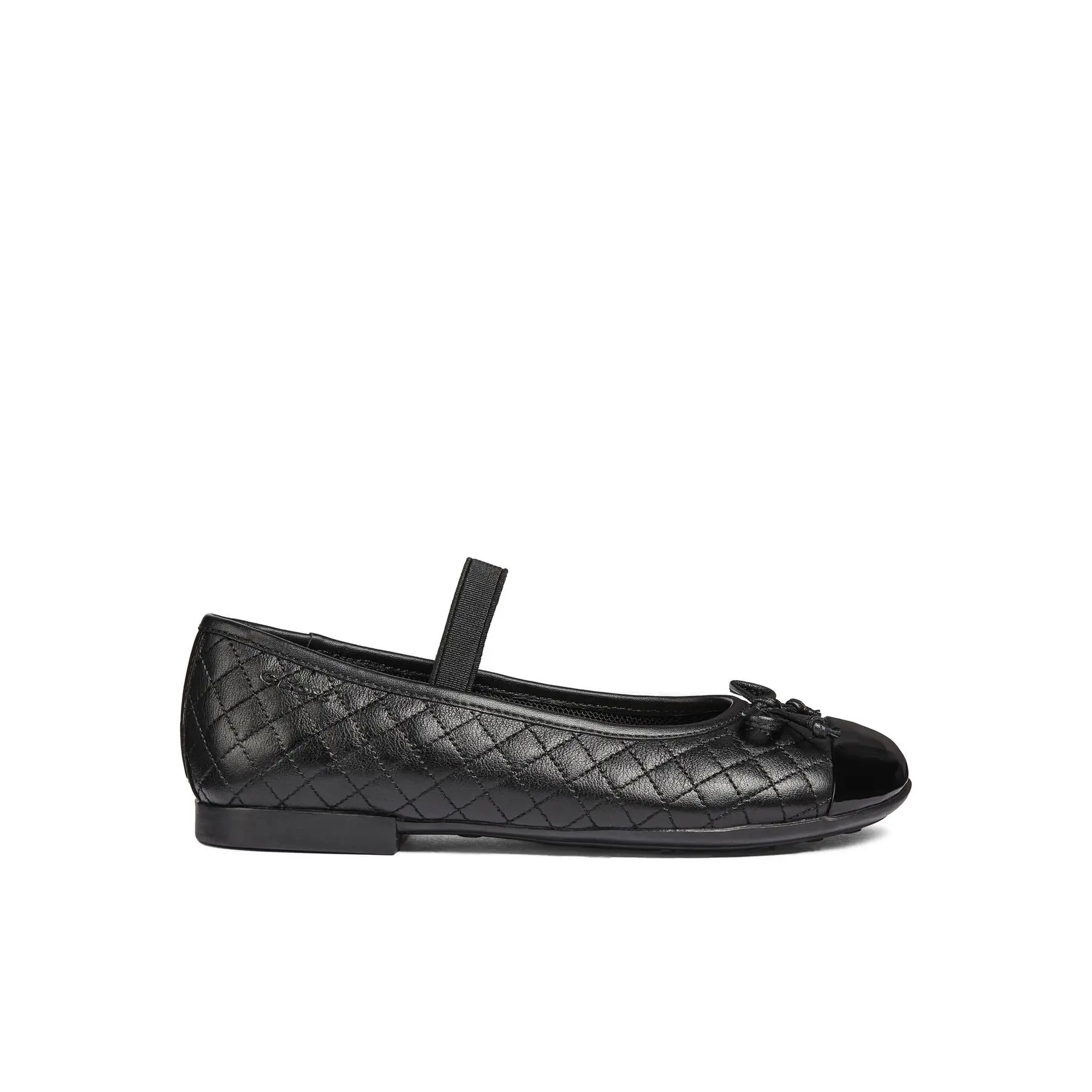 sportisgood1134206