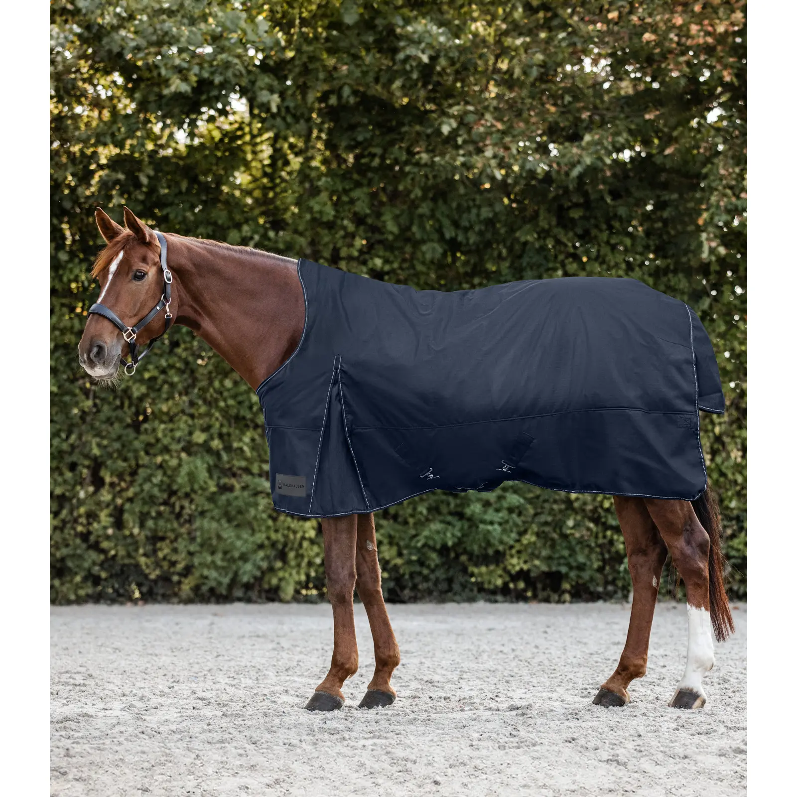 sportisgood1471913