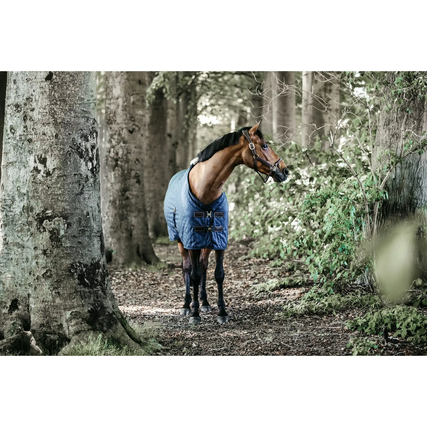 sportisgood1716986