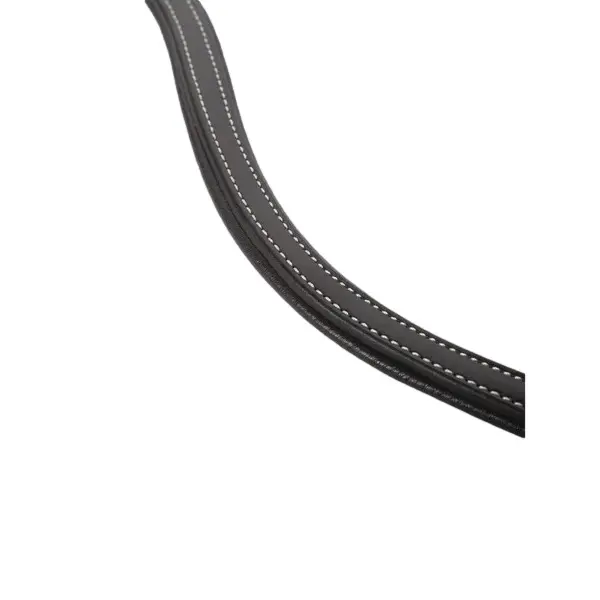 sportisgood1916040