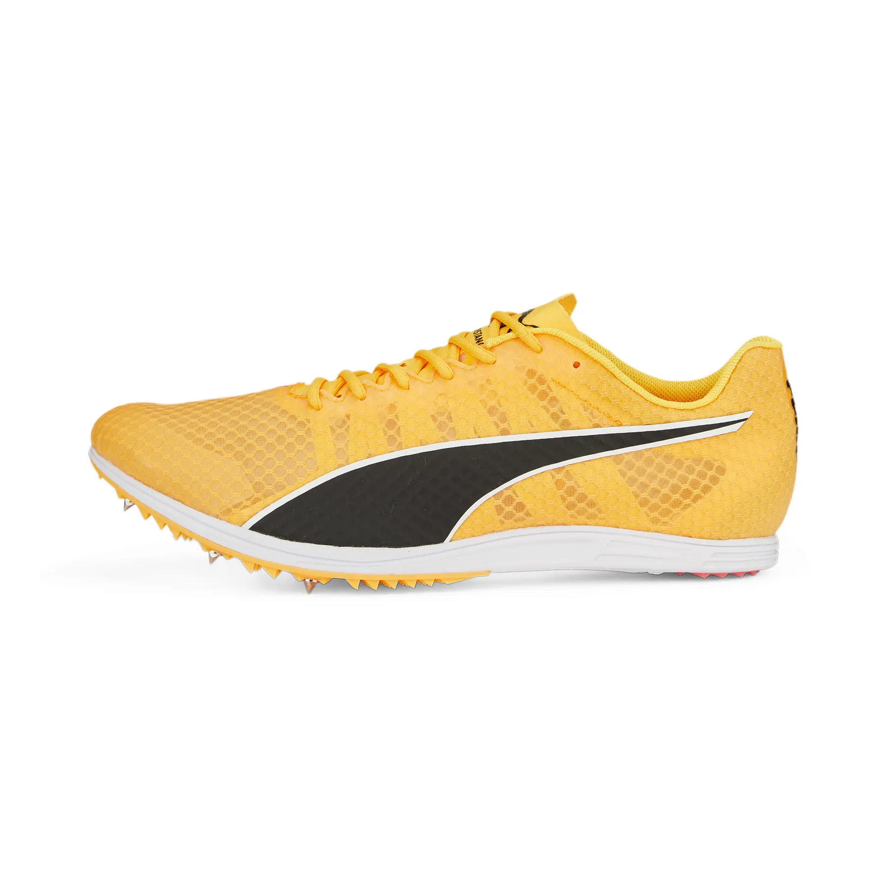 sportisgood454862