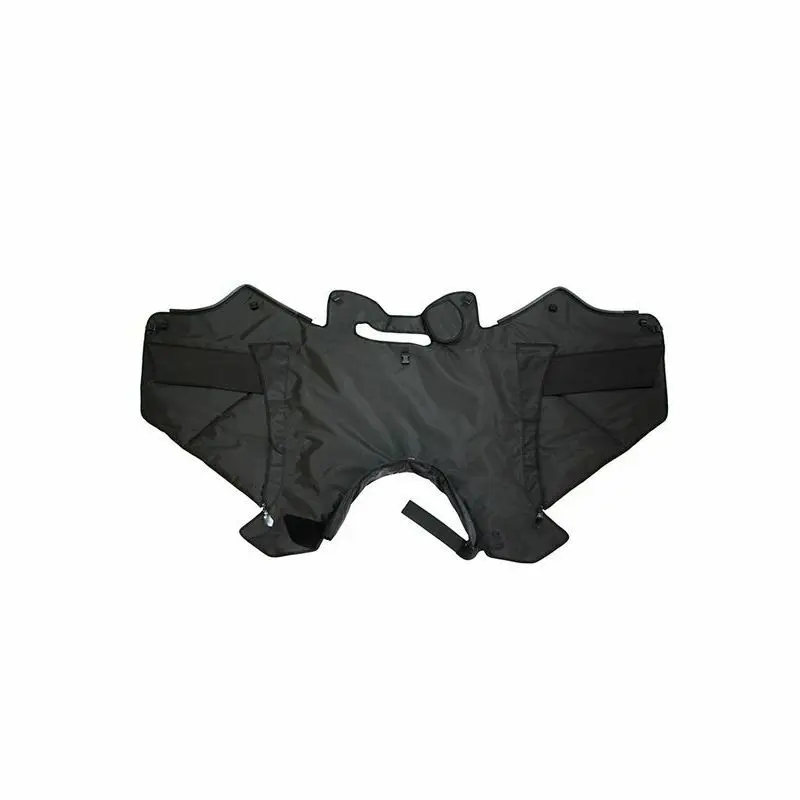 sportisgood536237