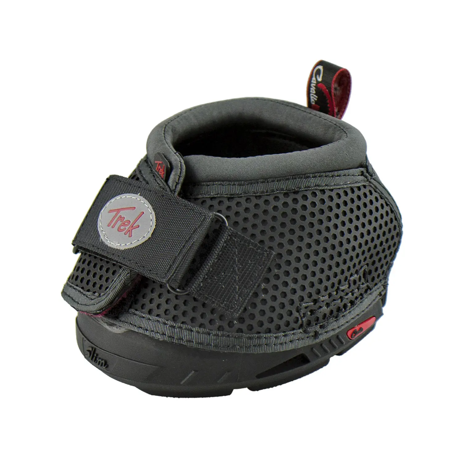 sportisgood591156