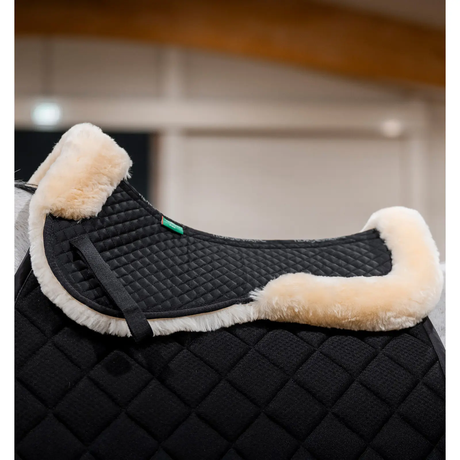 sportisgood833074