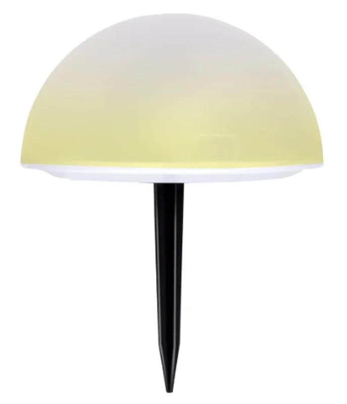 surfdeal445806