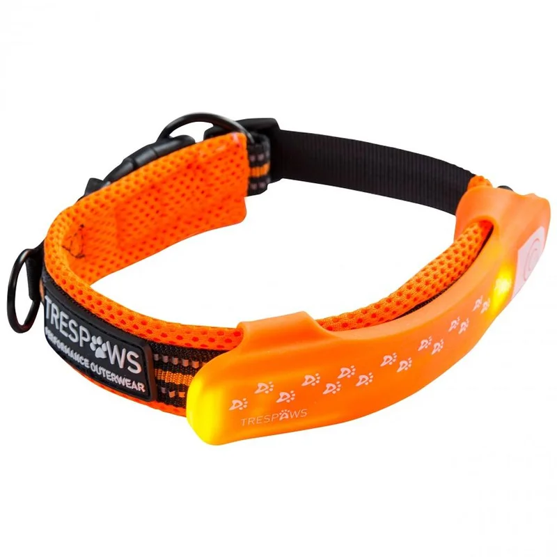 surfdeal490840