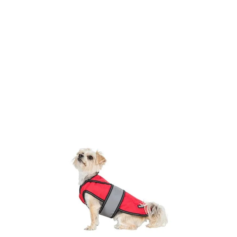 surfdeal492336