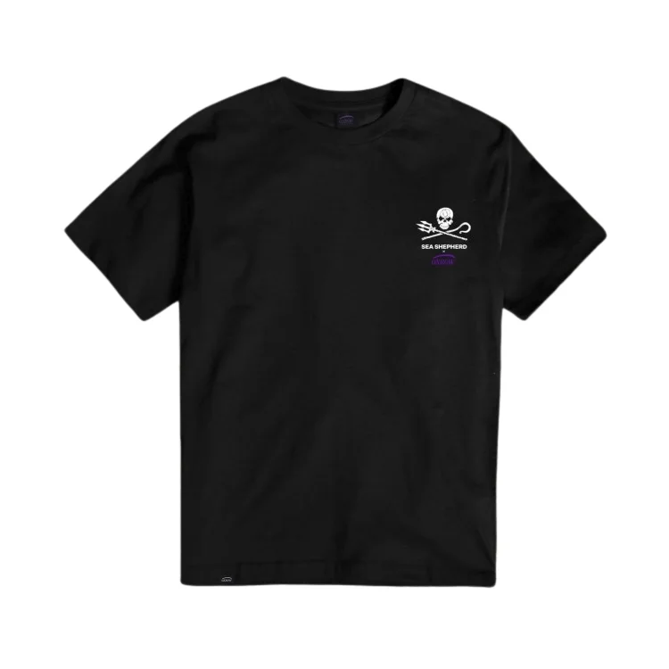 surfdeal659562